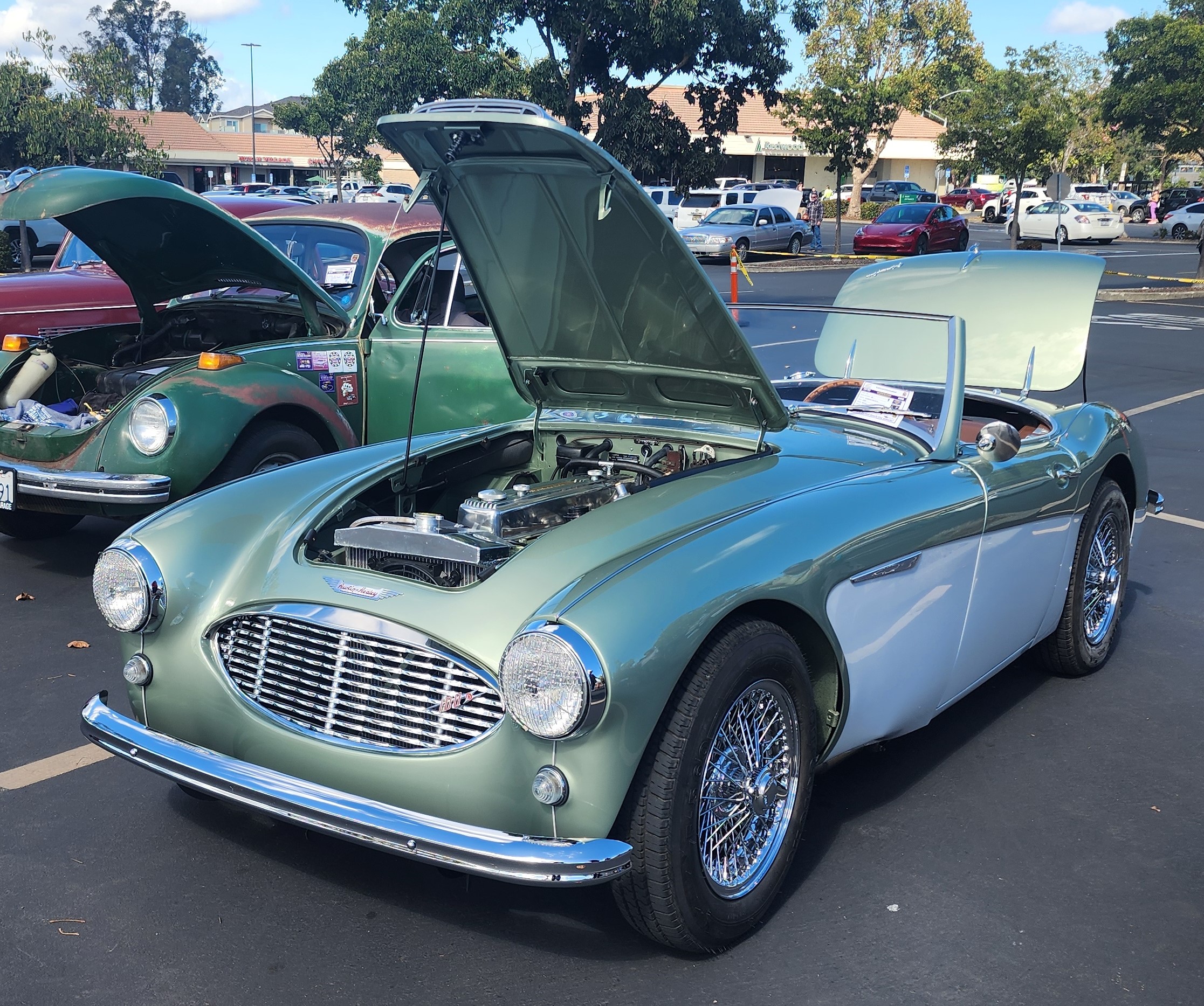 17. Foreign non VW Creighton Norris Jr. Austin Healy